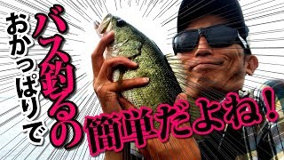 おかっぱりでバス釣るの簡単だよね【バス釣り 琵琶湖 釣りうま】