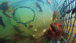 Нашел огромную раколовку на дне таинственного озера. Подводные находки на озере
