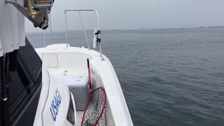 2017.5.24.青物爆釣ナブラ撃ちキャステングゲーム 石川県金沢市の遊漁船 金沢港うさぎ丸
