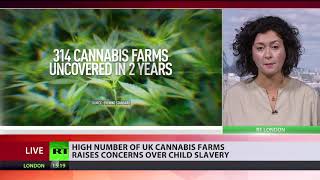 Child slaves exploited at hundreds of cannabis farms across London