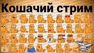 Стрим - Кошачий