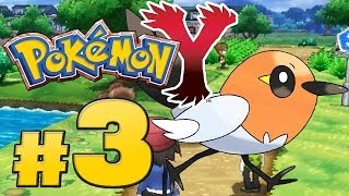 Let's Play Pokémon Y - Part 3 - Dartiri im Nouvaria-Wald