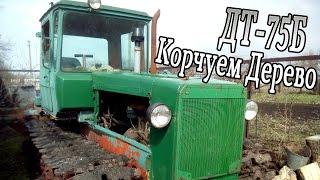 ДТ-75 | Лопнул трос | Городские в Шоке! Как корчевать пень!