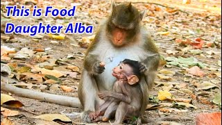 Anna Catch Alba's Head Show about Food For Her Baby Alba