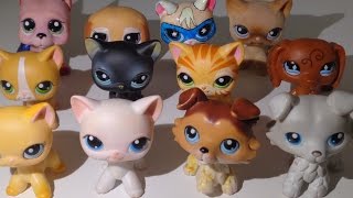 LPS: Все мои редкие петы: стоячки, колли, супер кот, дог..