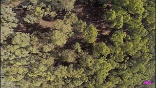 FPV - ninja