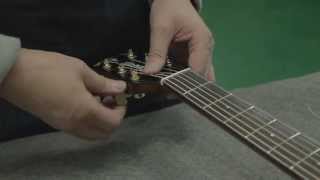 Creating a Crafter Guitar