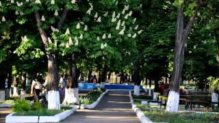 Наш родной Кировск