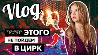 В ЦИРК МЫ БОЛЬШЕ НЕ ПОЙДЕМ!