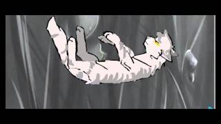 Коты-воители. Я не сплю я живой