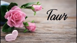 Taur || "Va petreceti Dragobetele cu sufletul pereche!" || Februarie 2020 || Dragoste