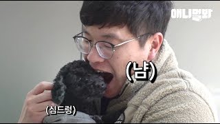 푸들이 깨물어주고 싶을 정도로 귀엽다고 진짜 깨무는 남자. 남자는 수의사다.ㅣSecret Of A Large Animal Vet And A Poodle Dog