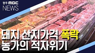 [뉴스데스크]6월 불패는 옛말..돼지고기 가격 폭락