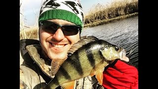 Ловля окуня микроджигом на ерике Сазаний. Чулпан, Астрахань, 2015.