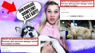 ЖИВОДЕРЫ В ГОСДУМЕ За животных теперь НАДО ПЛАТИТЬ НАЛОГИ! КОШЕК И СОБАК ЖДЕТ УЛИЦА? DIANA DI