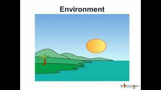 Science - Environment - Pollution - Hindi