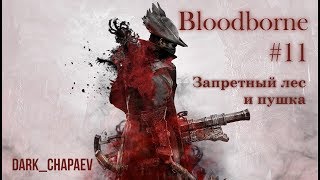 Bloodborne #11. Запретный лес.