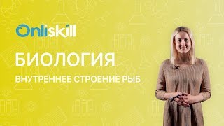 Биология 7 класс: Внутреннее строение рыб