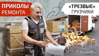 Приколы ремонта. Трезвые грузчики. Попугай повесился...