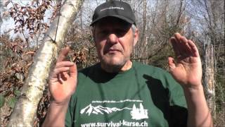Birkensaft  Survival Kurse