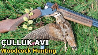 Çulluk Avı 2019 - Av Videoları | Bécasse Beccaccia Woodcock