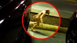 5 НЕИЗВЕСТНЫХ СУЩЕСТВ СНЯТЫХ НА КАМЕРУ / Слендер / Жесть