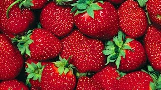 Топ 10 Еда которая вас убьет! Вредные продукты!