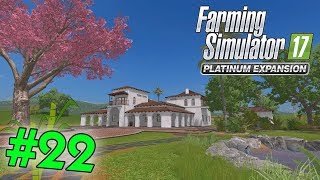 FS17 CACAO MERAVIGLIAO N.22 COMPRIAMO LE PECORE by fmarco95