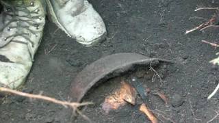 1 часть Нашли немецкого солдата с жетоном в Маяцком лесу