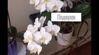 ПОЧЕМУ ВЕЗДЕ КИТАЙ ? / Распаковка подарков из Америки / Турецкая канцелярия...