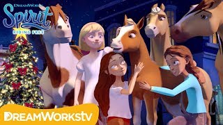 Christmas Music Video: Joy to the World | SPIRIT RIDING FREE