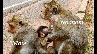 No Lola ,no mom! | little girl Lola confused Bertha is her mom & got Breast milk of mom bertha.