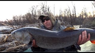 Крутой спиннинг BLACK HOLE Undisputed SE 290  20-75 гр. или КОРОЛЬ ТРОФЕЕВ !!!
