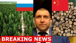 Дмитрий ПОТАПЕНКО - Вырубка лесов китайцами в Сибири