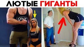 55 ЛЮТЫХ ГИГАНТОВ, КОТОРЫЕ НИКУДА НЕ ПОМЕЩАЮТСЯ!