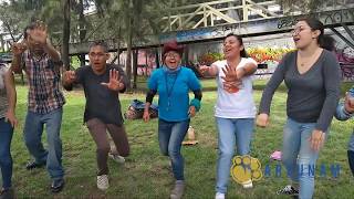 6 Monitos de paseo. Canción Recreativa.