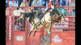 Minuto do Rodeio 34: 41ª Festa do Peão de Colorado 2015 - Round I