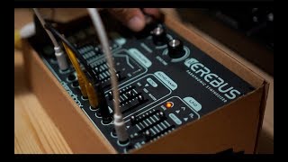 lil Erebus - 10 Patches for the new Dreadbox synth (Riamiwo StudioVlog 91)