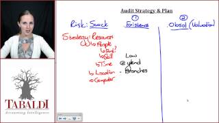 PPE 2013 Exam Technique : Audit Strategy Plan and Procedures