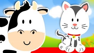 Мяу мяу - Мяукает кот - детские песни | Детское Королевство