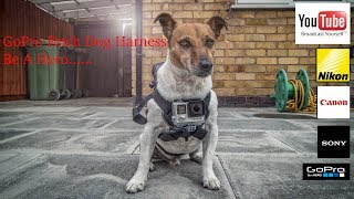 Pet Photography GoPro Hero Dog Harness
