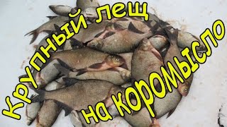 Рыбалка зимой. Ловля крупного леща на коромысло.