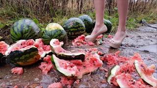 scene 0103 Crush watermelon high heels crush heels abused