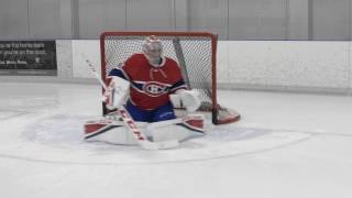 CCM Extreme Flex III Leg Pads - Carey Price