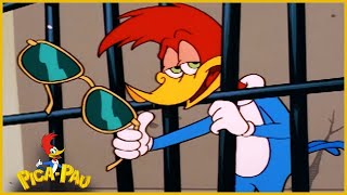 Pau em Português | TV a Cabo | Episodio Completo de Pica-Pau | Desenhos Animados