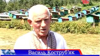 Унікальна солодка сім’я мешкає у Малому Ключеві на Коломийщині
