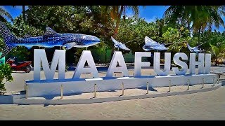 Мальдивы 2019 остров Маафуши. Maldives 2019. Maafushi Island 12+