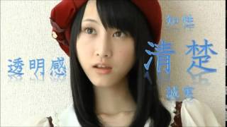 【AKB48】松井玲奈の知性溢れる神スピーチ / 第6回選抜総選挙(第5位)
