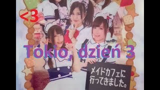 Japonia, dzień 3: Tokio Mario Kart, Akihabara, Maids Cafe, Don Quijote, Kiddy Land, zakupy