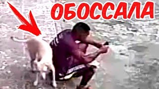 10 САМЫХ НЕЛОВКИХ МОМЕНТОВ СНЯТЫХ НА КАМЕРУ
